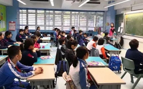 教育 內(nèi)卷 越來越嚴重,有關部門出手整治民辦學校,家長注意了