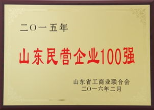 新聞中心 金嶺集團(tuán)